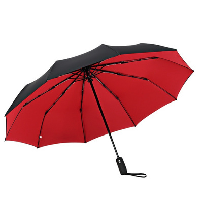 Windproof Double Layer Resistant Umbrella Fully Automatic Rain Men Women 10K Strong Luxury Business Male Large Umbrellas Parasol