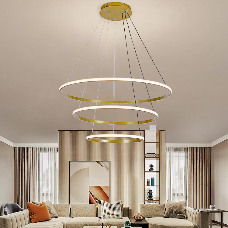 Modern Luxury Hanging Line Iron Pendant Light Lamp Round Circle Led Ceiling Ring Chandelier