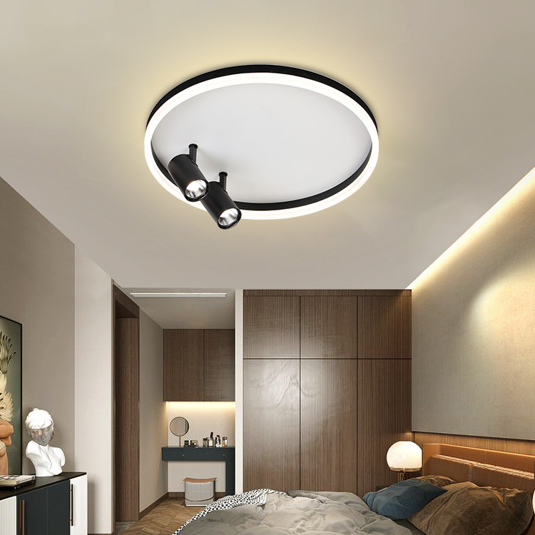 Modern Fancy Fixtures Flush Mounted Ceil Lamp Living Room Dining Room Decorative LED Ceiling Light