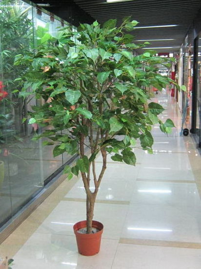 Wholesale bonsai leaf artificial plant tree artificial bodhi banyan tree artificial ficus tree