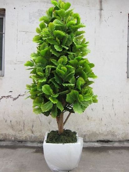 Wholesale bonsai leaf artificial plant tree artificial bodhi banyan tree artificial ficus tree