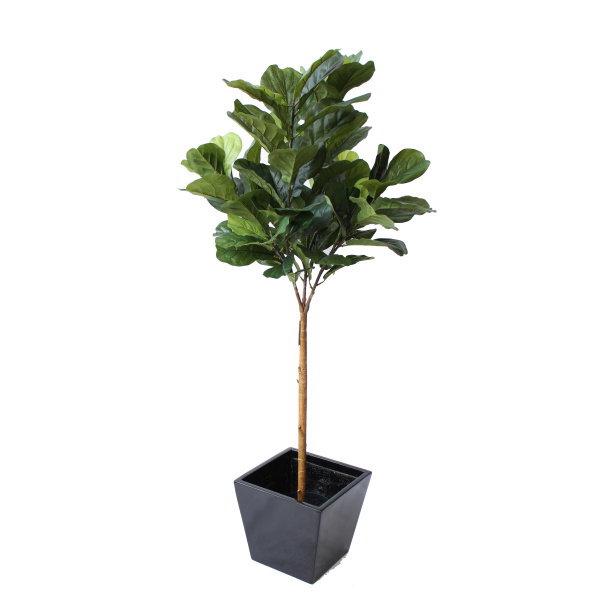 Wholesale Green Artificial Plants Pine Tree Bonsai Cactus with Cement Pot for Living Room Decoration