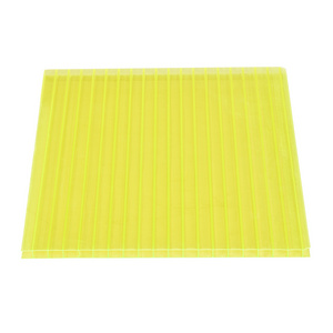 Wholesale customized 4mm/6mm/8mm/10mm hollow twinwall polycarbonate panel sheet for skylight