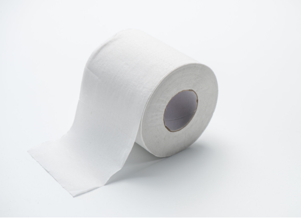 customize big roll 2/3 ply custom standard roll toilet paper