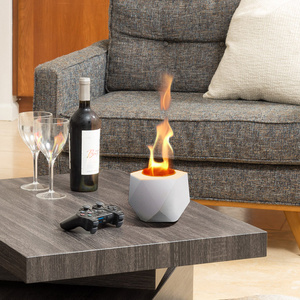 Desktop Portable Alcohol Fireplace Indoor Heating Decorative Mini Cement Fire Pit