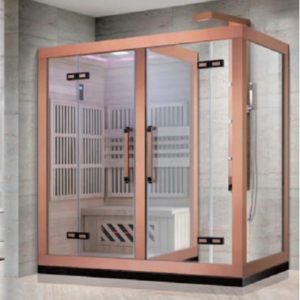 Souna room dry steam sauna room