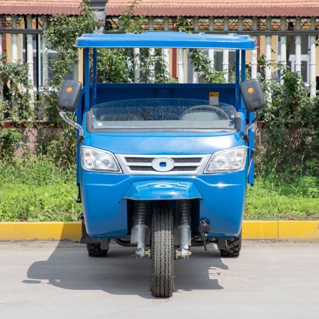 Popular Motorized Tricycles with Spare Tire Displacement Engine Three Wheel Motorcycle Tricycle Cargo motorised tricycle