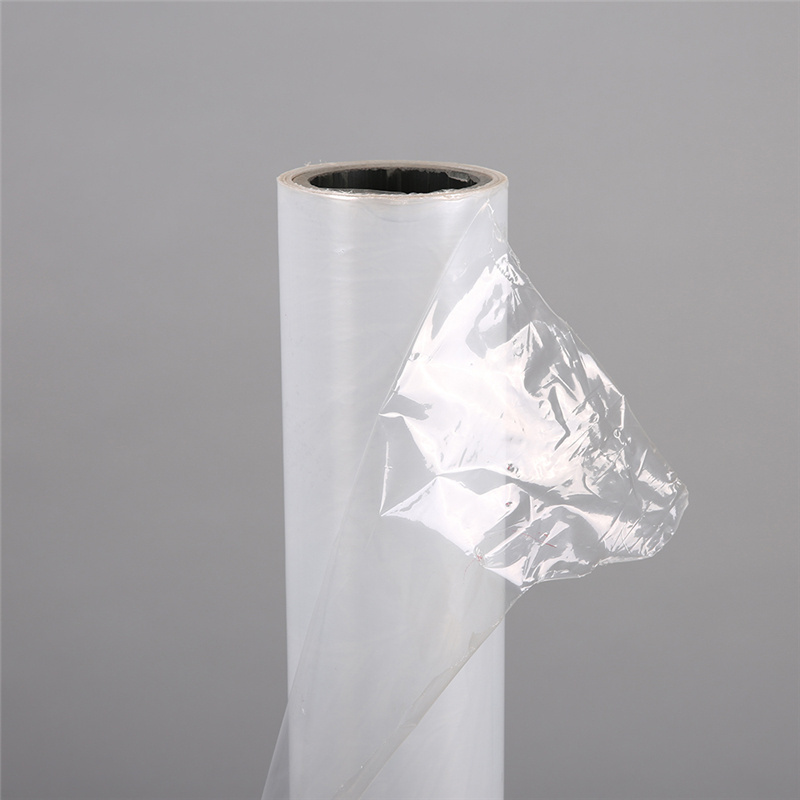 PET Protective Film PE Protection Film PE Transparent Self-Adhesive Film For  Pet Plate Coil