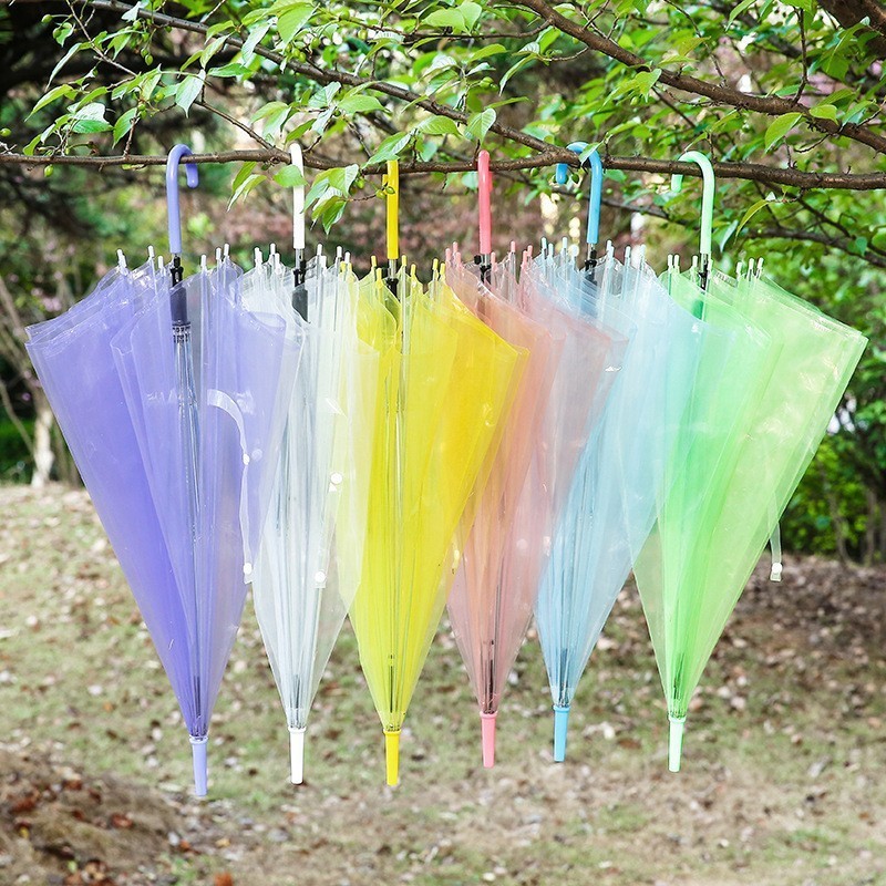 Long Handle Automatic Transparent Umbrella Lightweight Kids Umbrella Custom Logo Colorful Clear Umbrella for Wedding and Student