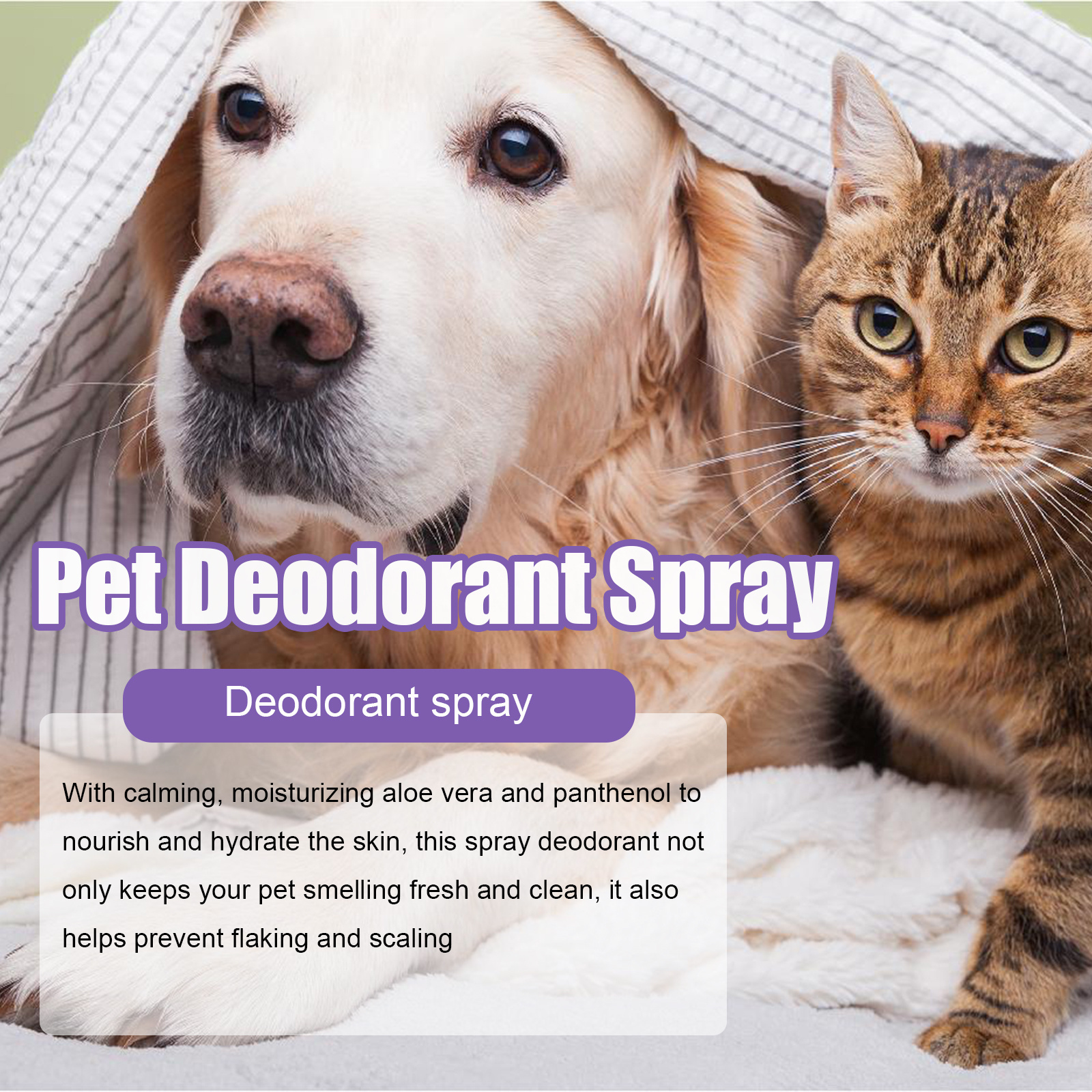 Yegbong Pet Odor Eliminator Spray Lavender Pet Stain Odor Deodoring Spray Fresh Pet Deodorant Spray