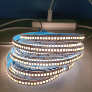 110v snake lights led strip smd2835 cri>90 effects high brightness ld lights ip68 waterproof led strip