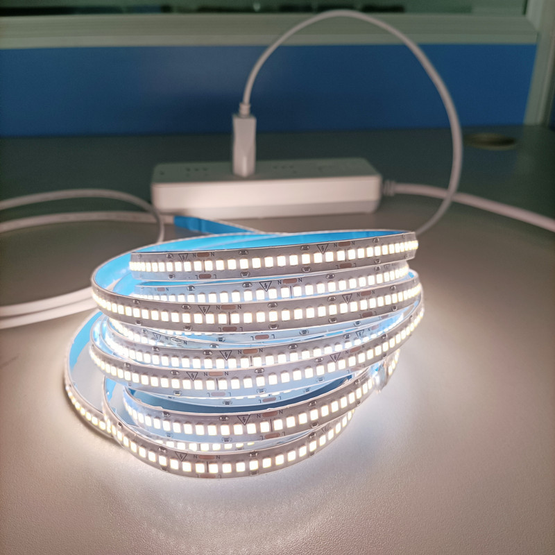 110v snake lights led strip smd2835 cri>90 effects high brightness ld lights ip68 waterproof led strip