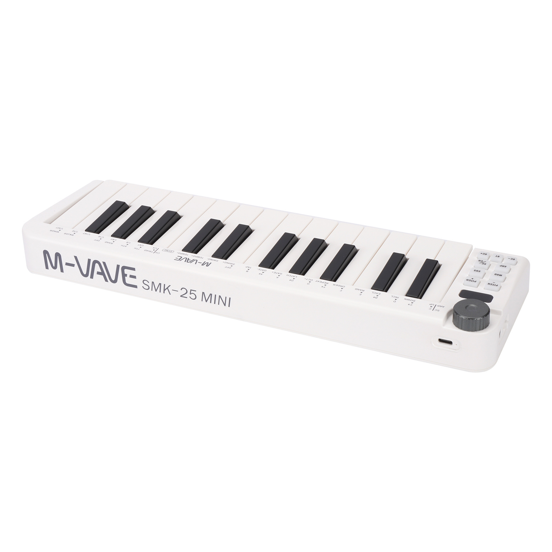 Professional Portable Mini 25 Key Digital Piano Musical Instrument Electronic Midi Keyboard Controller