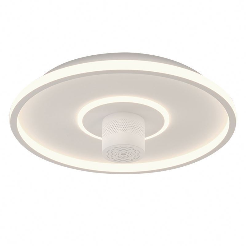 Modern Round shape led fixture  ceiling lights  surface mounted living room bedroom light ceiling