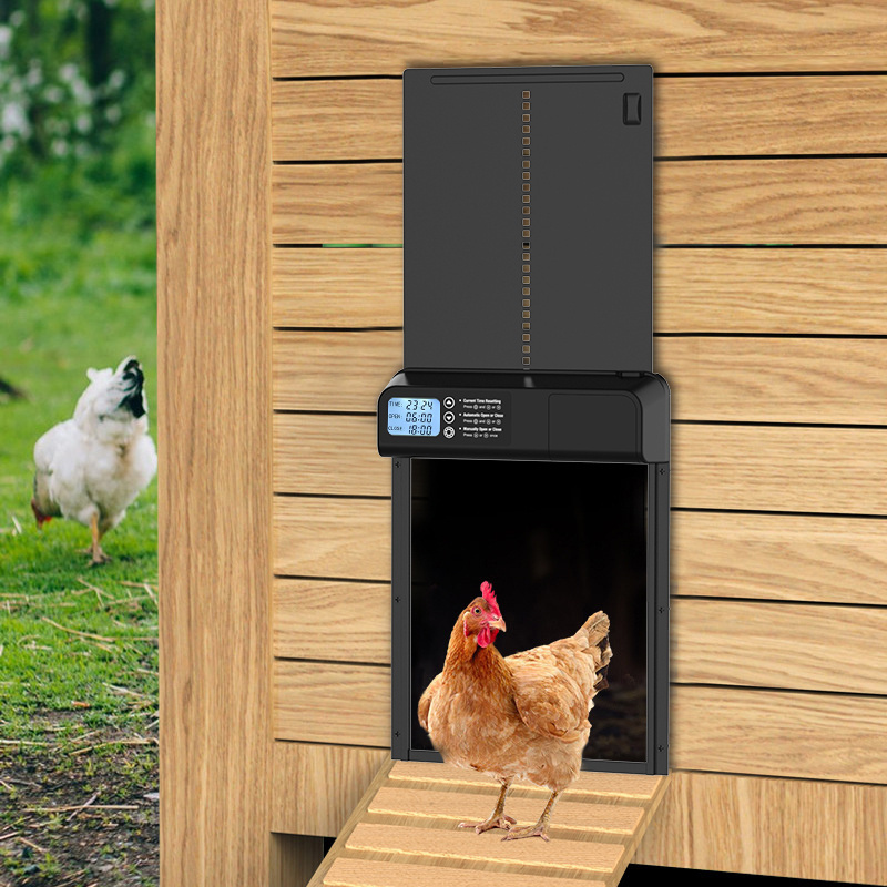 Wholesale Automatic Chicken Coop Door with Timer Smart Poultry door With patent  support custom