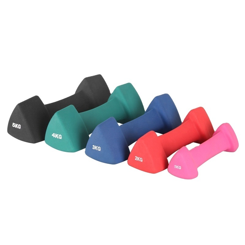 Multi Color Triangle Dumbbells 1/2/3/4/5kg PVC Neoprene Coated Cast Iron Solid Dumbbell Hex Vinyl Dipping Dumbbells