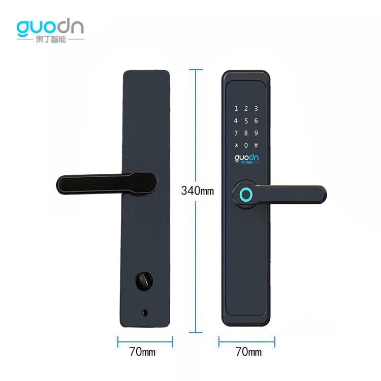 Smart Digital Electronic Security Door LORA Lock With Biometric Smart Fingerprint NB-IOT Locks Handles Key Card Smart Door Locks