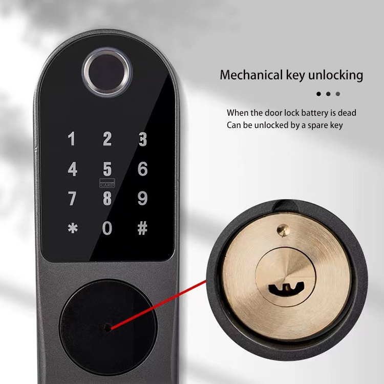 2023 GUODN high security anti-theft and waterproof smart lora lock Ttlock NB-IOT Tuya Wifi app key smart fingerprint door locks