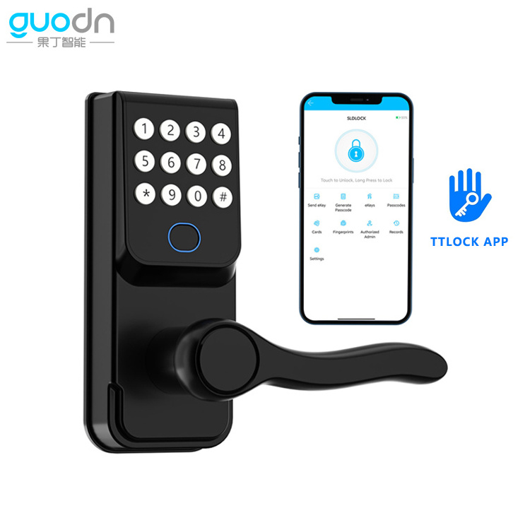 popular Alloy Biometric Lock ttlock App smart Door Lock Word Fingerprint Door Lock