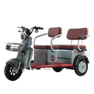 Three Wheel Mini Electric Scooter 3 Wheel Adult Electric Tricycle