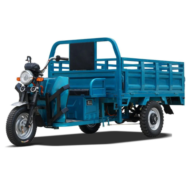 Cargo Transport 1000W Motor Electric Tricycle Triciclo Electrico for Sale