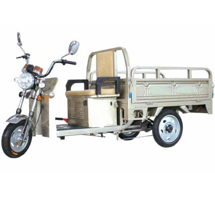 Adult Electric Sport Car Battery-Powered Drift Trike Mountain Rickshaw/Industrial 3 Three Wheel Motorcycle