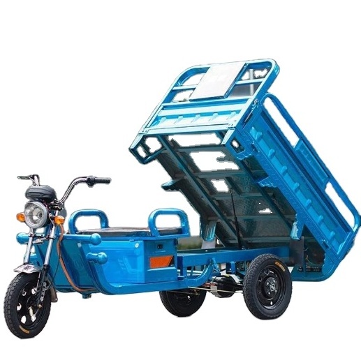 Factory Wholesale 3 Wheel Custom Can Take Pets Electric Tricycles 501-800W Electric Trike Motorcycle With Sidecar