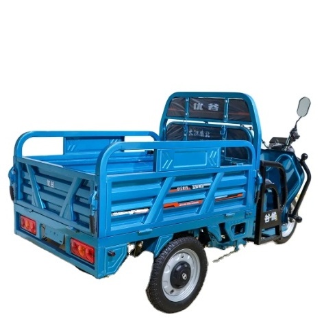 EV Loader Motorcycle Rickshaw Tuk Tuk Green Energy Vehicle Electric Cargo Tricycle Rickshaw Car Price in Pakistan