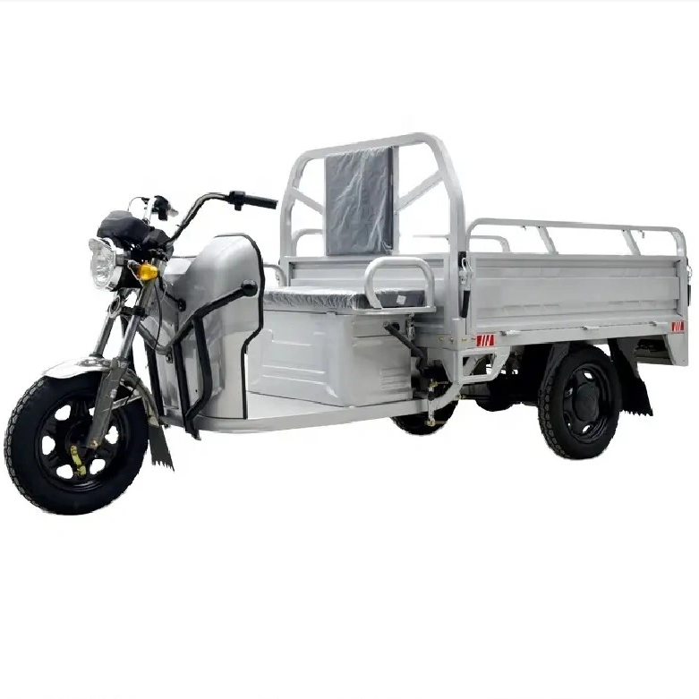 Cargo Transport 1000W Motor Electric Tricycle Triciclo Electrico for Sale