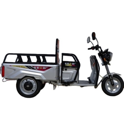 2024 Rickshaw Electric Tricycle Transporter Electric Cargo Tricycle Pedicab for Sale to Philippines Pedicab