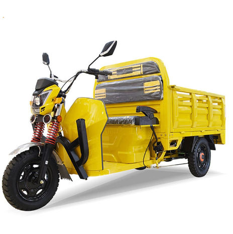 Best-Selling Cargo Loader Euro EEC Approved Cheap Price 1500W 3 Wheel Electric Rickshaw