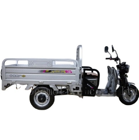 2024 Rickshaw Electric Tricycle Transporter Electric Cargo Tricycle Pedicab for Sale to Philippines Pedicab