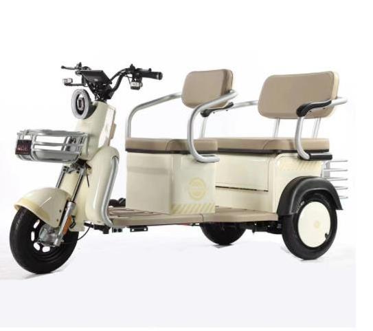 Three Wheel Mini Electric Scooter 3 Wheel Adult Electric Tricycle