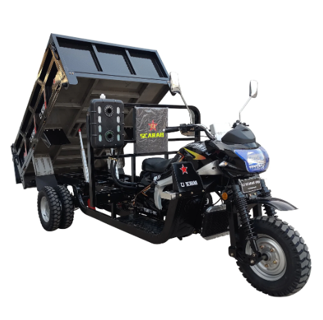 250cc Gasoline Tricycle Cargo Tricycle Three Wheels Motorcycle