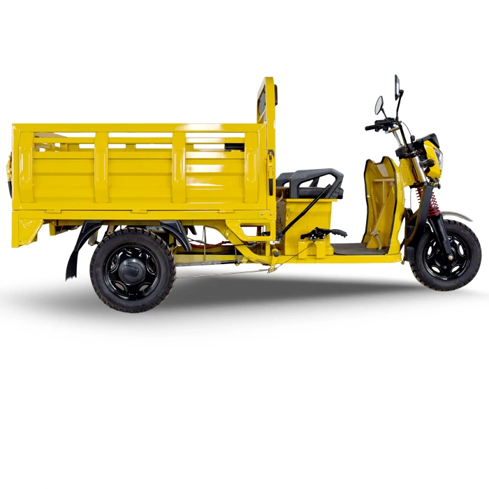 Electric Petrol Engine Bike Tricycles 3 Wheel 800cc Bicycle Maroc Algerie Rear Box Cargo Tricycle