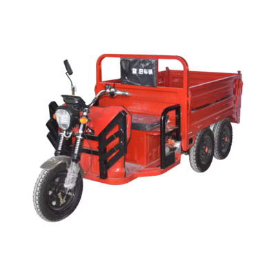 Electric Tricycle for Cargo Electric Cargo Tricycle Good Quality Three Wheel 4 Wheel Electric Scooter Motorcycles for 7 and 4