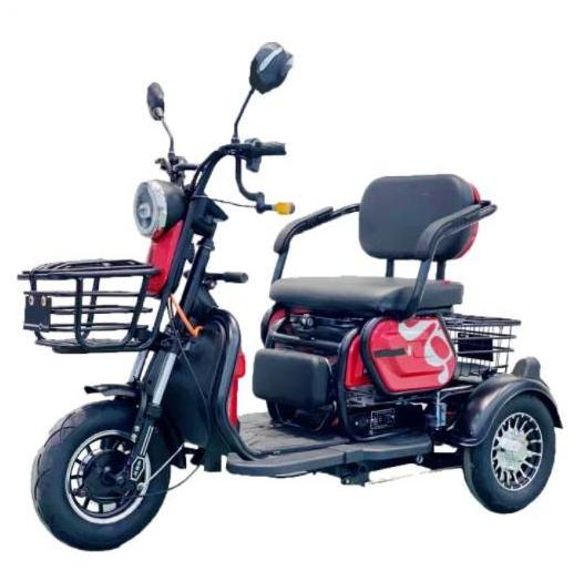 China Leisure Life Electric Three Wheeler Passenger Motorcycle for Old Man