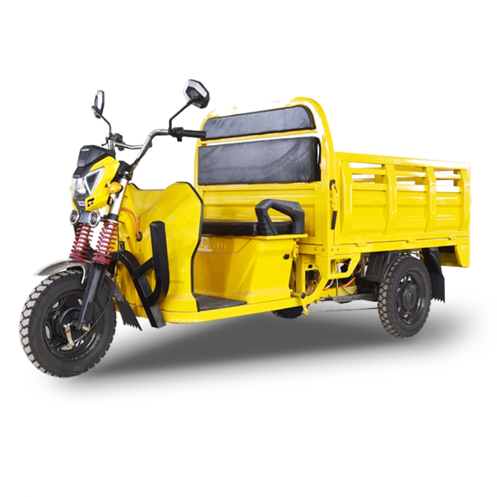 Electric Petrol Engine Bike Tricycles 3 Wheel 800cc Bicycle Maroc Algerie Rear Box Cargo Tricycle