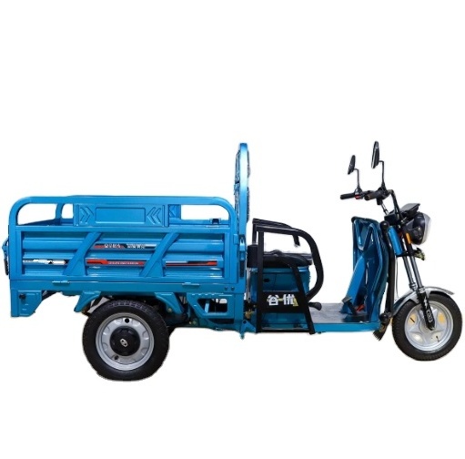 EV Loader Motorcycle Rickshaw Tuk Tuk Green Energy Vehicle Electric Cargo Tricycle Rickshaw Car Price in Pakistan