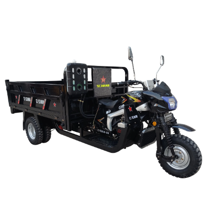 250cc Gasoline Tricycle Cargo Tricycle Three Wheels Motorcycle