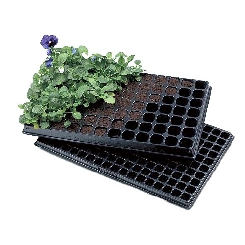 Cheap tomato plant seedling plug tray with cover and pallet