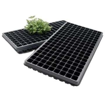 Cheap tomato plant seedling plug tray with cover and pallet