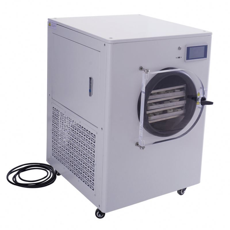 Multifunctional Harvest Right Oil Free Vacuum Pump Dry Commercial Freeze Drying Machine Food Dryer