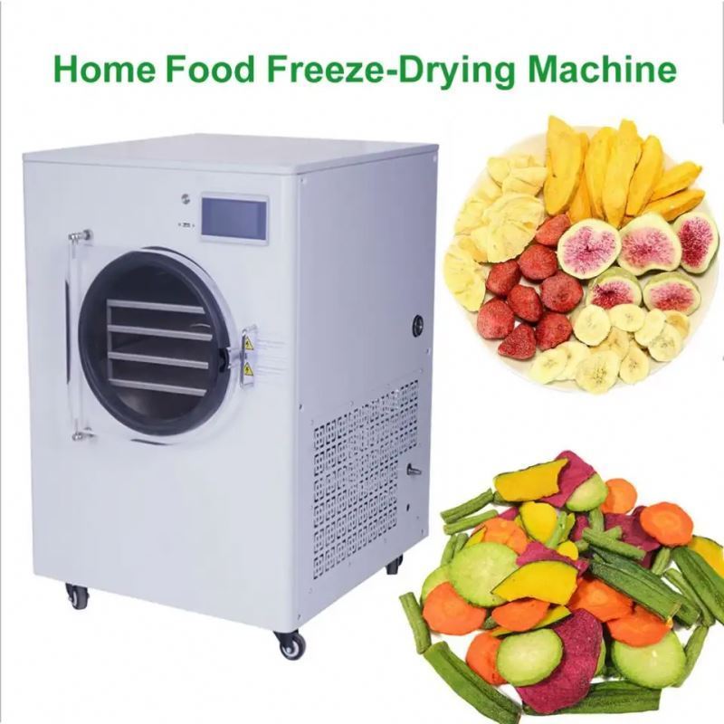 Multifunctional Harvest Right Oil Free Vacuum Pump Dry Commercial Freeze Drying Machine Food Dryer