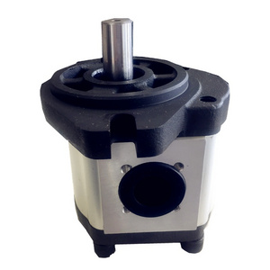 High Quality Eco-friendly Oil Transfer Micro Stainless Steel Hydraulic Gear Pump Hydraulic Gear Pump For Forklift Power Units