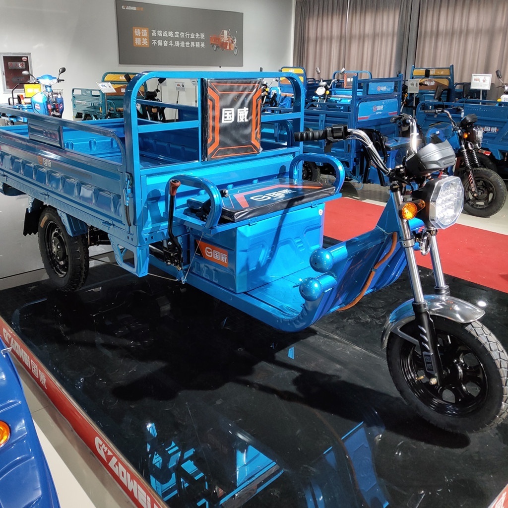 china supply farm use 60V 48V 800W electric three wheeler tricycle motorcycle for cargo load not zongshen huaihai futian baodiao