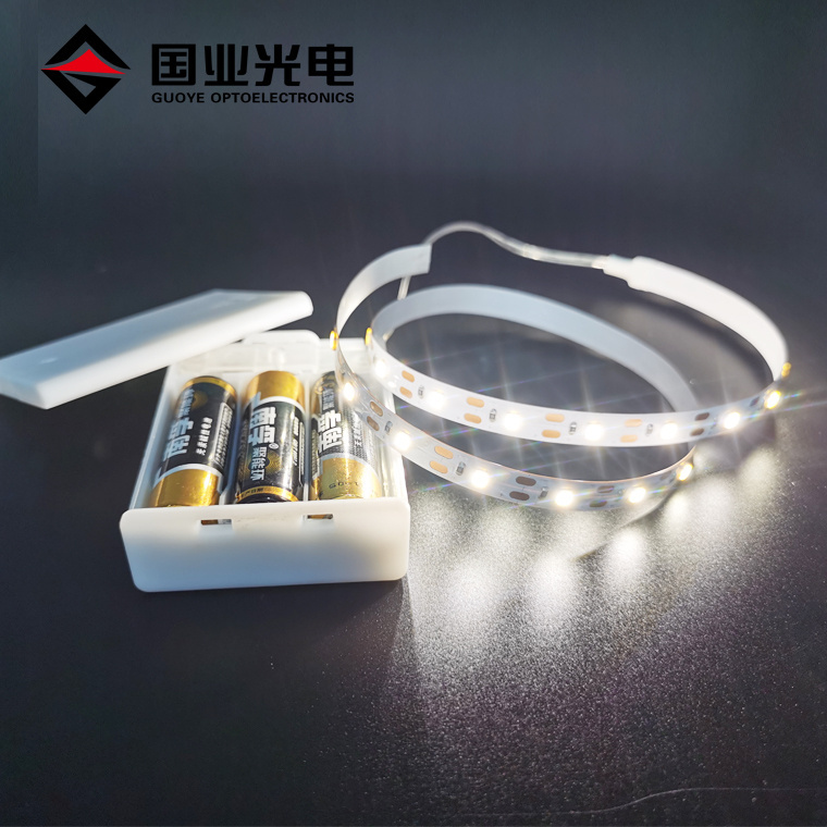 Customized 2835 smd 4.8w 3v battery operated led strip with aaa cell box casing