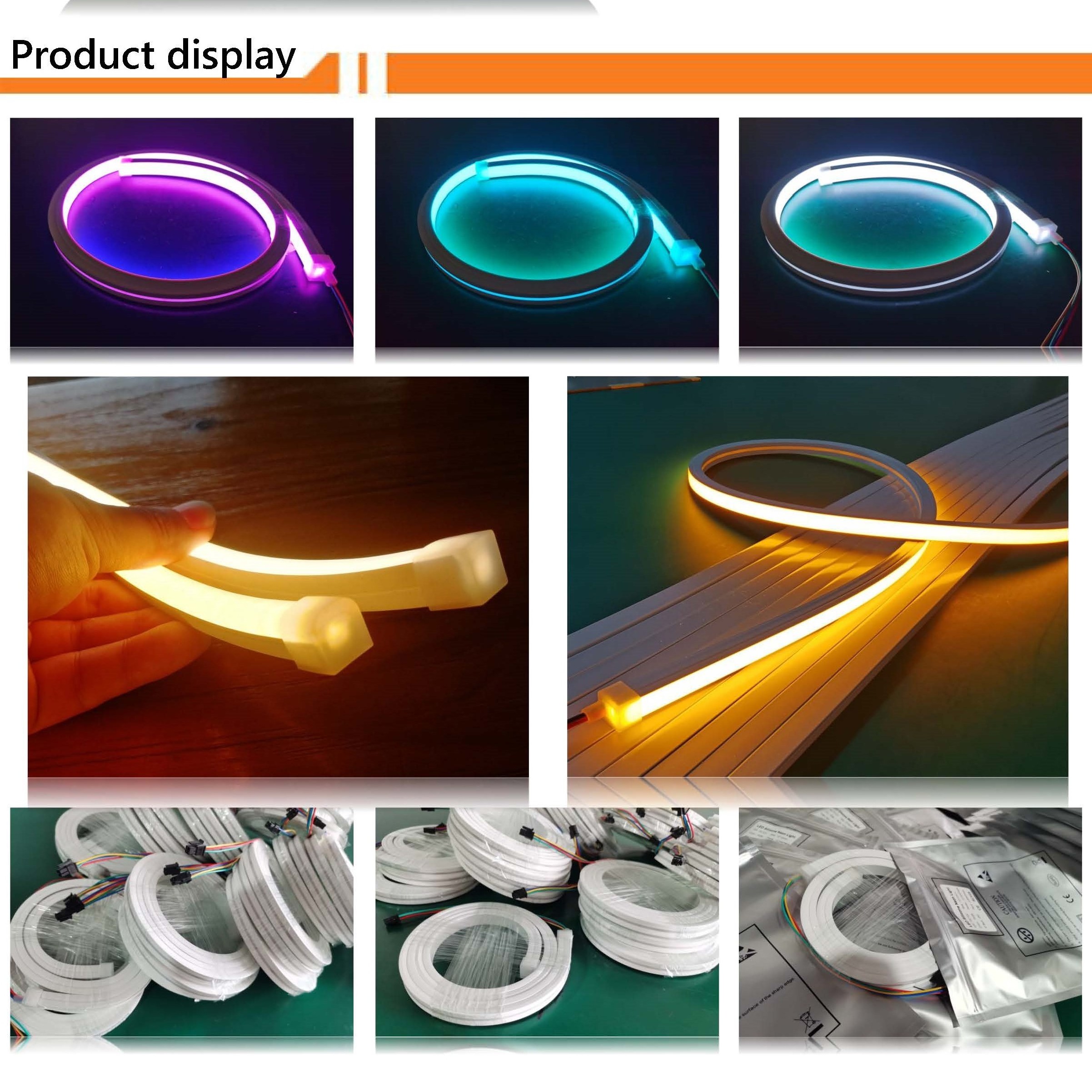 Shenzhen 10*10mm top view 12v 24v IP67 waterproof flex silicon led flexible strip neon rope light