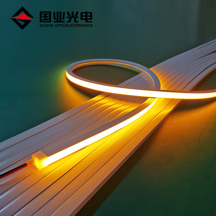 Shenzhen 10*10mm top view 12v 24v IP67 waterproof flex silicon led flexible strip neon rope light