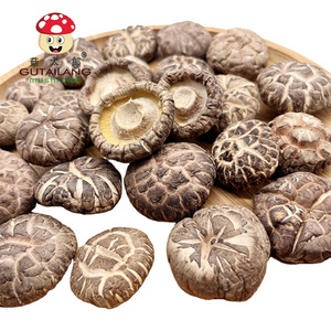 Factory Direct Dried Shiitake Flower Mushroom Plant Mushroom For Eating Dried Shiitake Flower Mushroom Sizes Customized